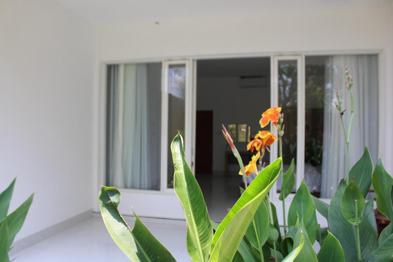 Turtle House Lombok Hotel Kuta  Eksteriør billede